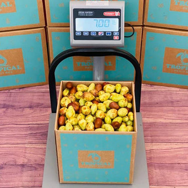 Jujubes on a Scale